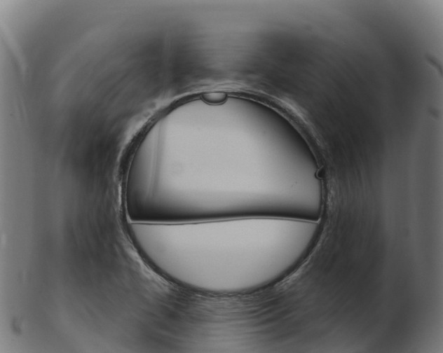 X0000103461414200809121047
