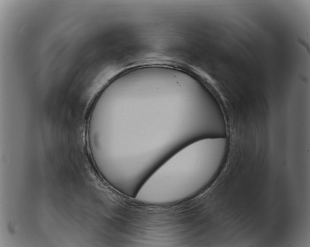 X0000103461415200809121047