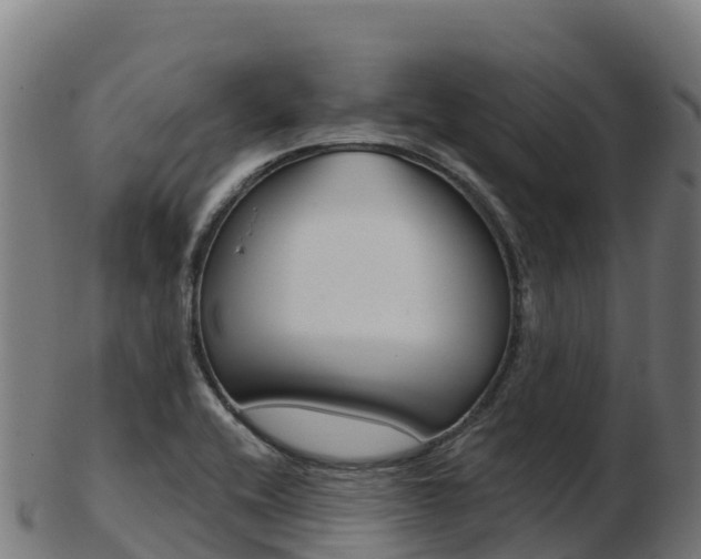 X0000103461416200809121047