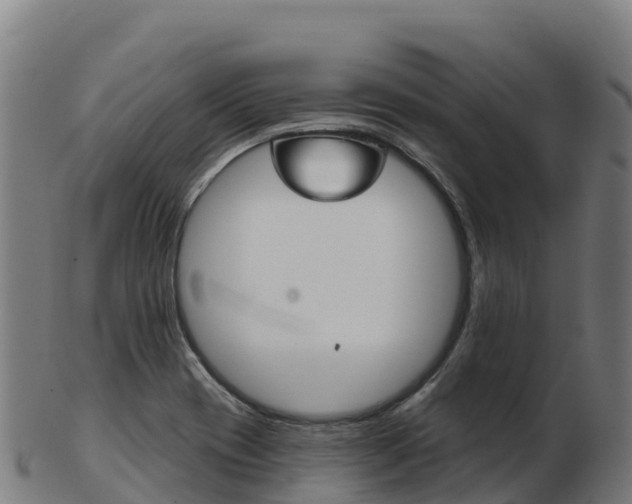 X0000103461417200809121047