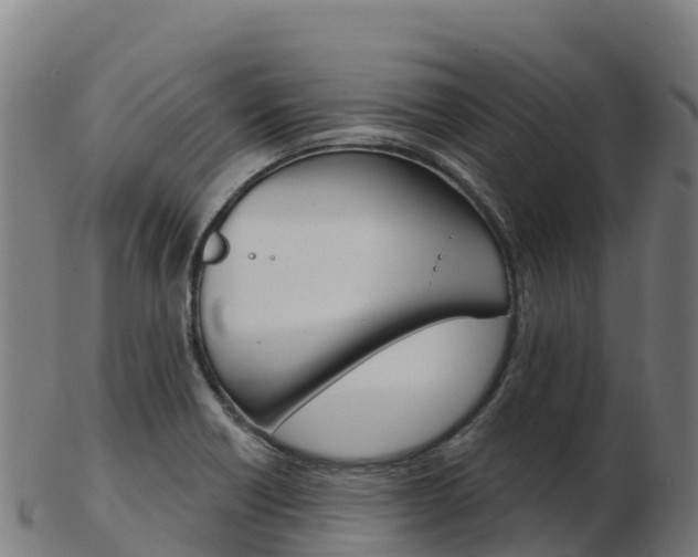 X0000103461418200809121047
