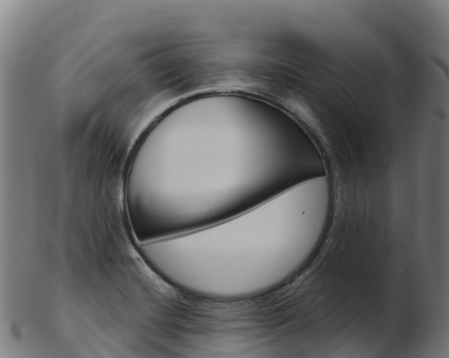 X0000103461420200809121047
