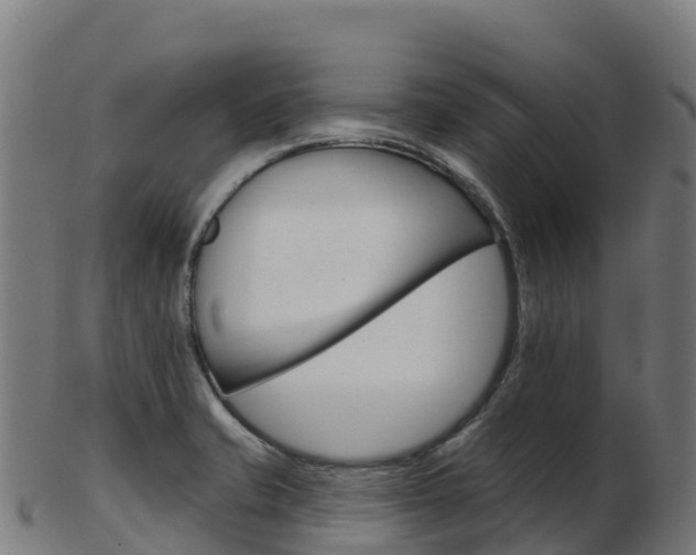 X0000103461421200809121047