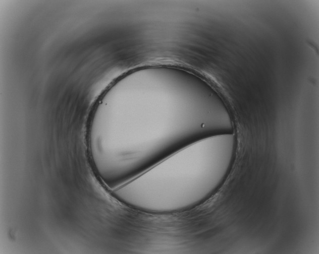 X0000103461422200809121047