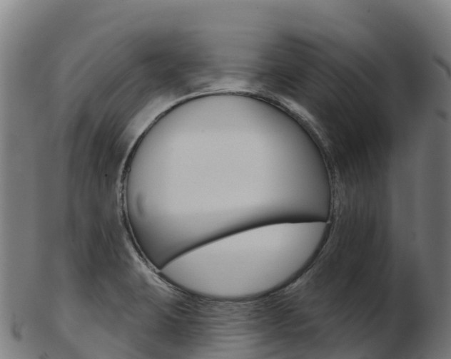 X0000103461423200809121047