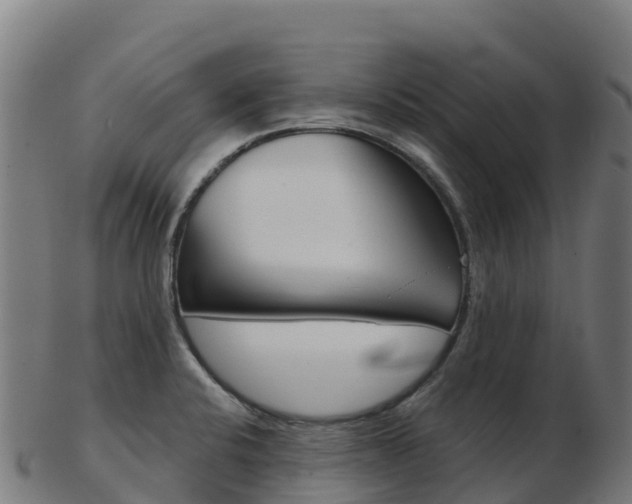 X0000103461424200809121047