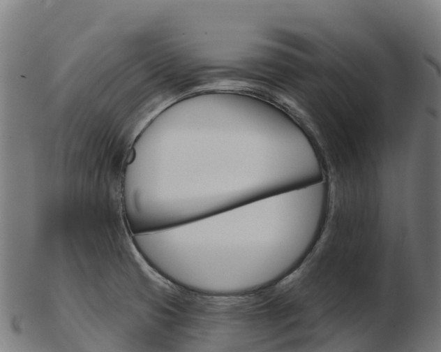 X0000103461425200809121047