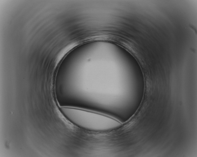 X0000103461426200809121047