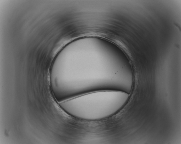 X0000103461428200809121047