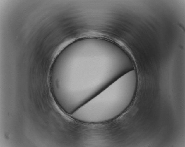 X0000103461429200809121047