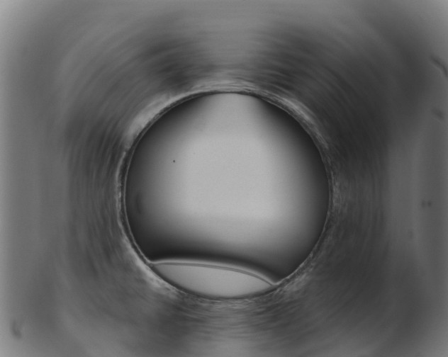 X0000103461430200809121047