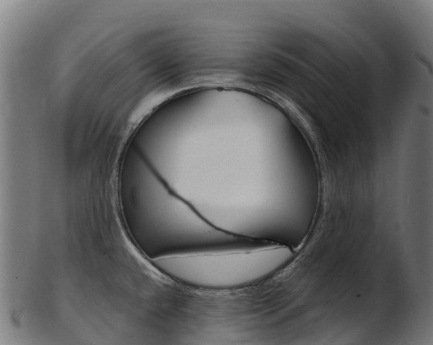 X0000103461432200809121047
