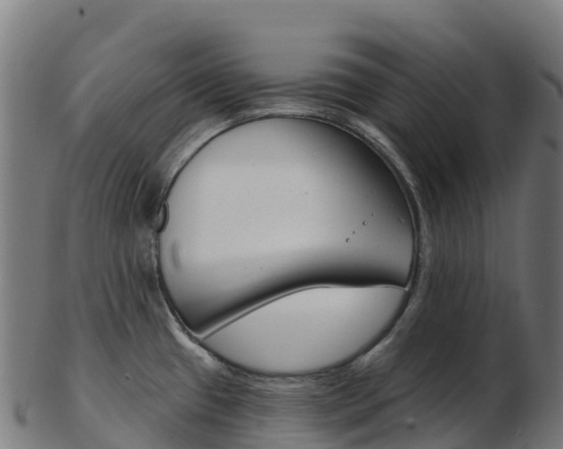 X0000103461433200809121047