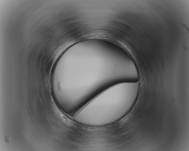 X0000103461434200809121047