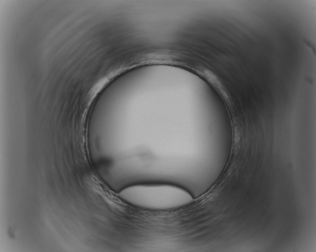 X0000103461435200809121047