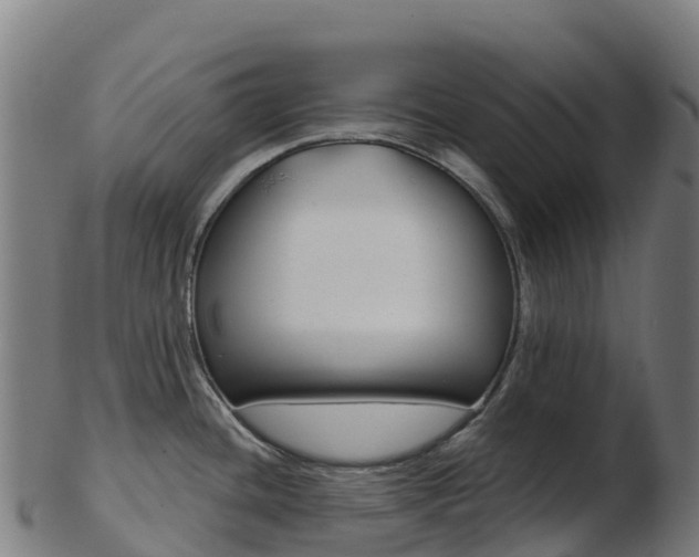 X0000103461436200809121047