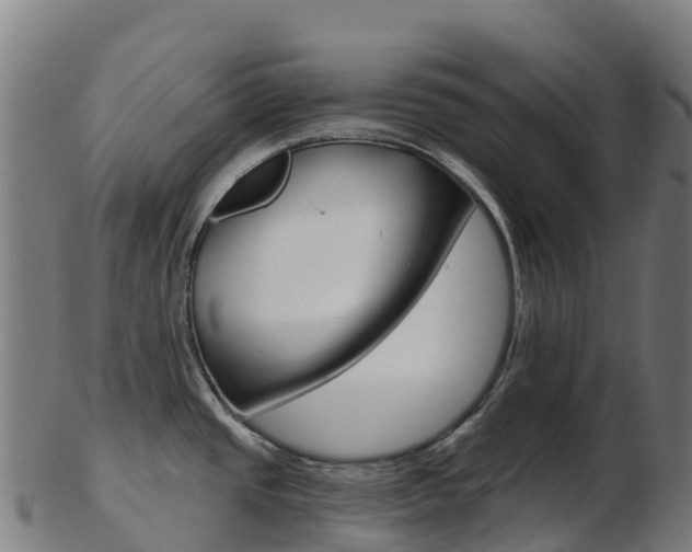 X0000103461437200809121047