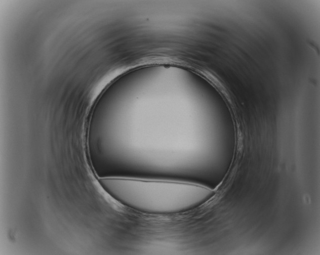 X0000103461438200809121048