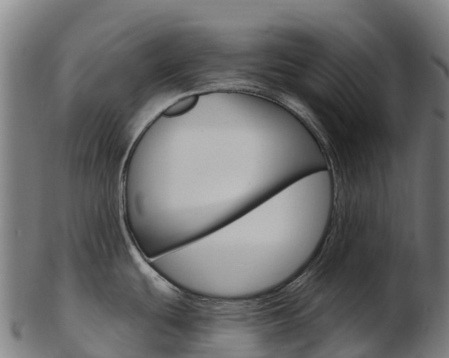 X0000103461439200809121048