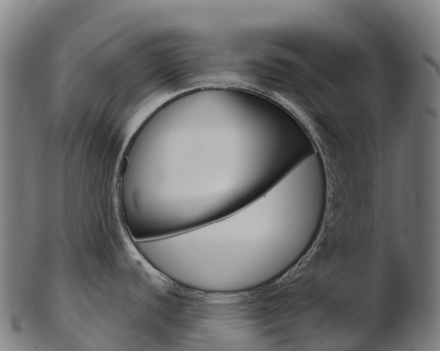 X0000103461440200809121048