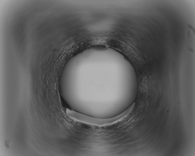X0000103461441200809121047