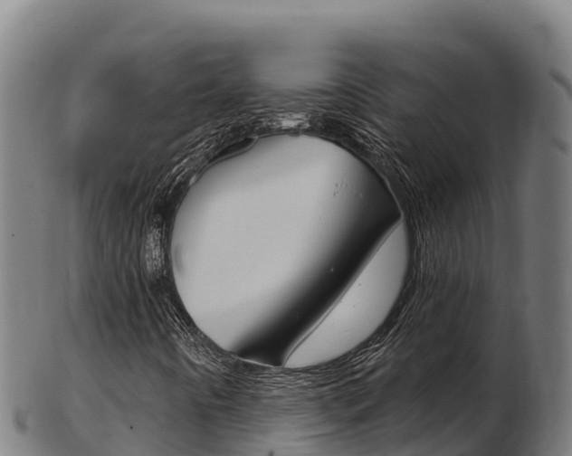 X0000103461442200809121047