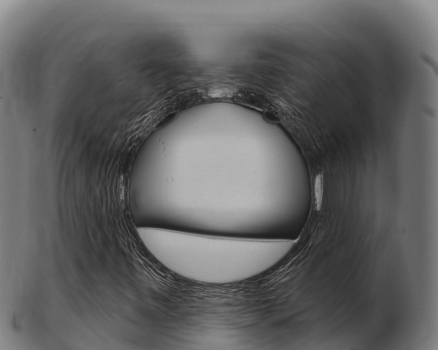 X0000103461443200809121047