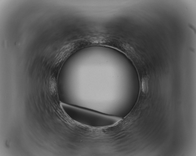 X0000103461444200809121047