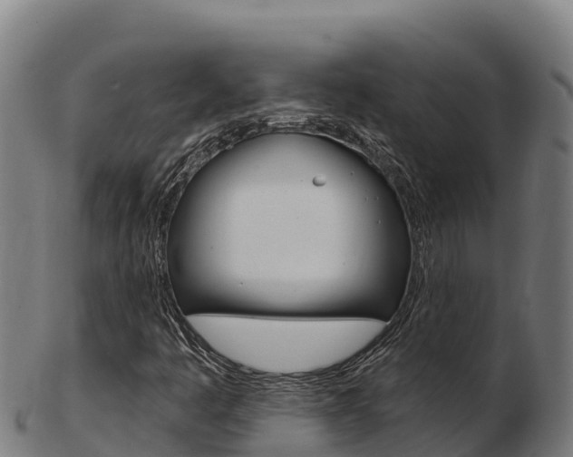 X0000103461445200809121047