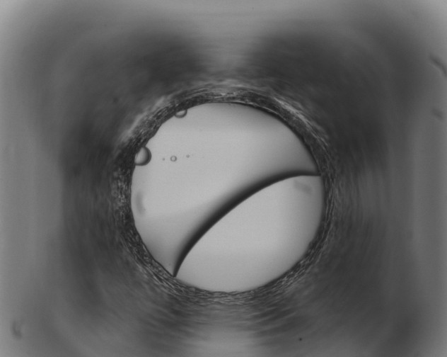 X0000103461447200809121047