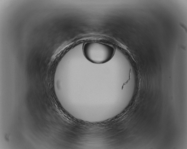 X0000103461448200809121047