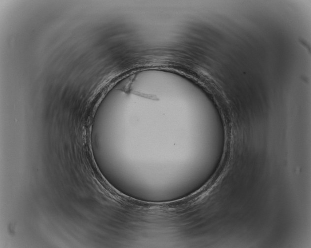 X0000103461449200809121047