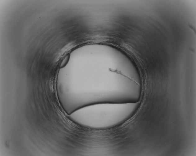 X0000103461451200809121047