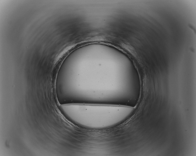 X0000103461452200809121047