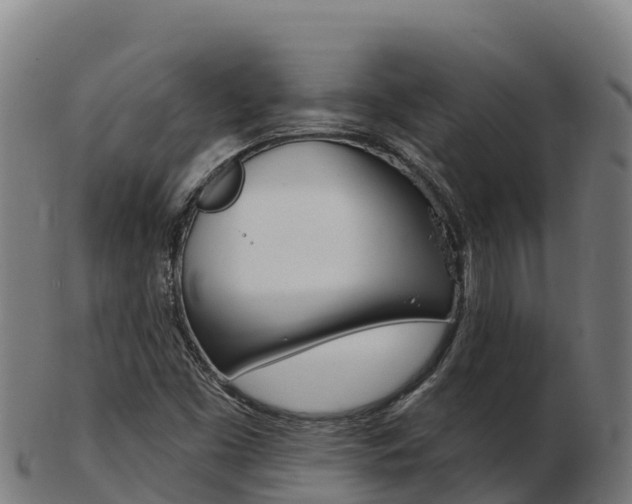 X0000103461453200809121047