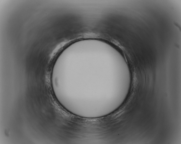 X0000103461454200809121047