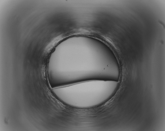 X0000103461455200809121047