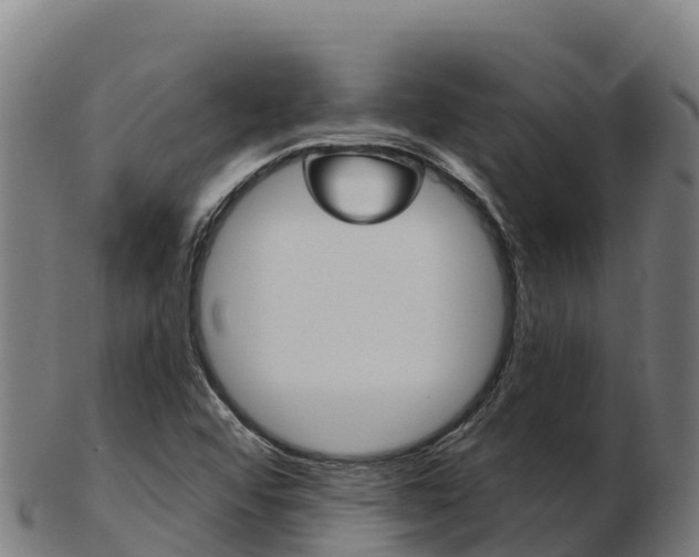 X0000103461456200809121046