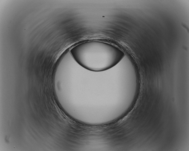 X0000103461457200809121046