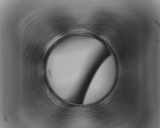 X0000103461458200809121046
