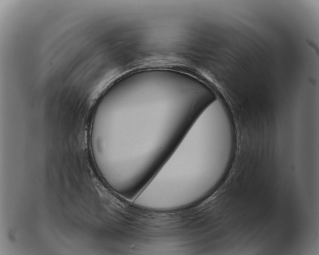 X0000103461459200809121046