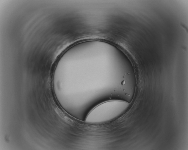 X0000103461460200809121046