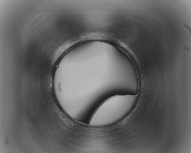X0000103461461200809121046