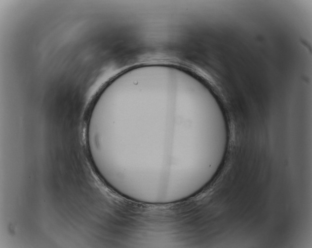 X0000103461462200809121046