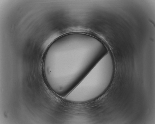 X0000103461463200809121046