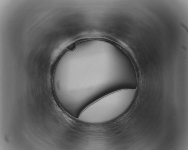 X0000103461464200809121046