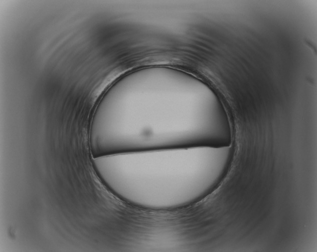 X0000103461465200809121046