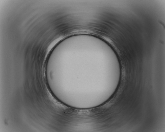 X0000103461466200809121046