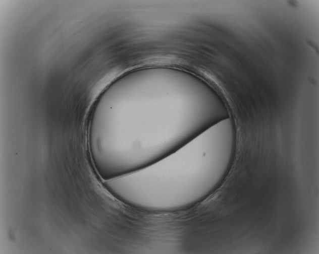 X0000103461467200809121046