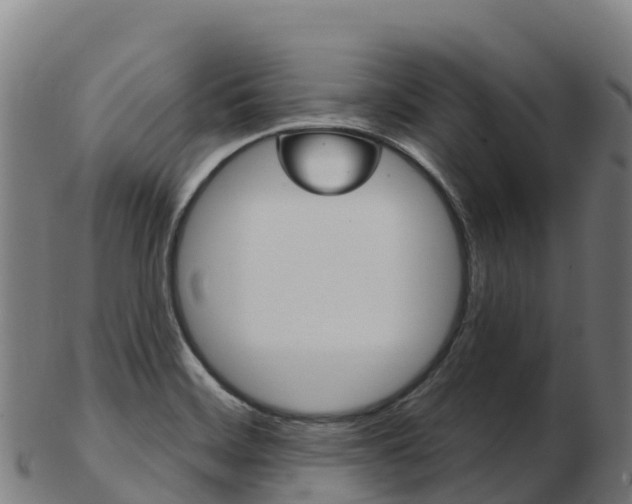 X0000103461468200809121046